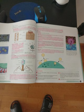 Biología, Geología y CC. Ambientales 1º Bachill...
