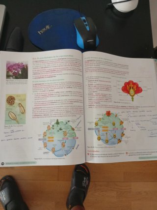 Biología, Geología y CC. Ambientales 1º Bachill...