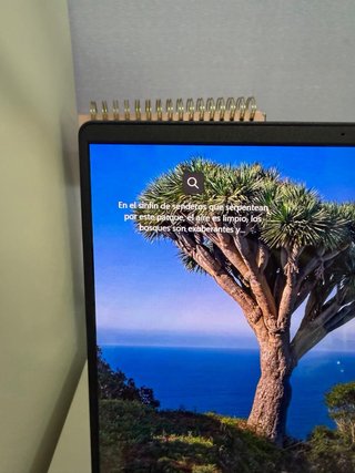 Asus Vivobook S14 Negro OLED
