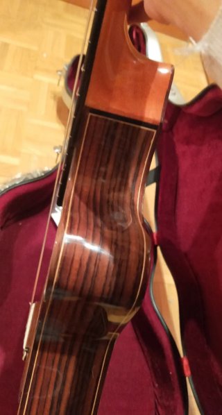 Guitarra Alhambra 5P CT E2
