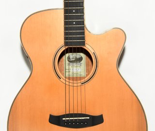 GUITARRA ELECTROACUSTICA TANGLEWOOD DBT SFCE