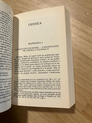 La Odisea. Homero. La odisea.