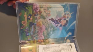 Fae Farm Nintendo Switch