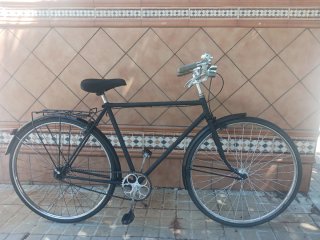 bicicleta paseo 700