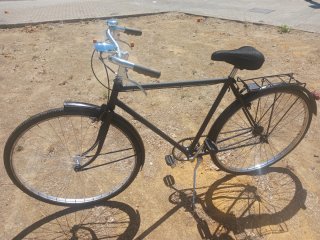 bicicleta paseo 700