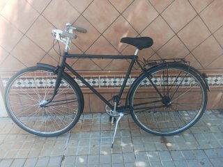 bicicleta paseo 700