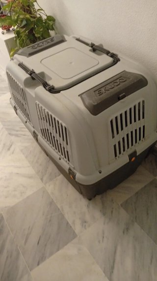 Transportín para perro gris y blanco