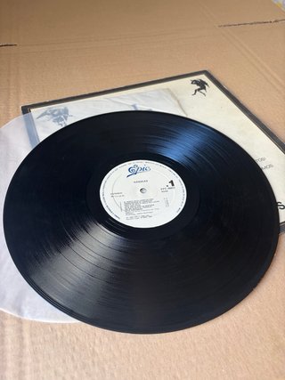 LP Ilegales - Todos Están Muertos