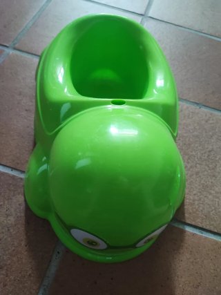 Tortuga Saro verde