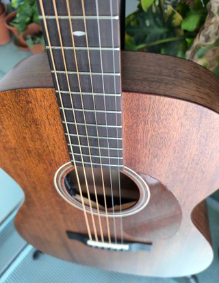 Harley Benton CLA-15M SolidWood + Fishman