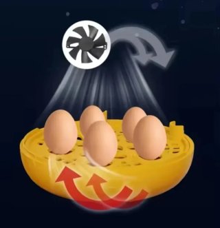 Mini Incubadora Huevos Pollitos