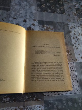 El spleen de París