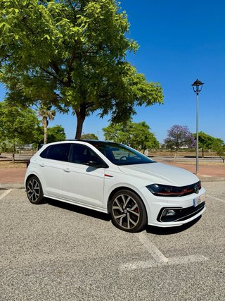 Volkswagen Polo GTI 2.0 TSI DSG
