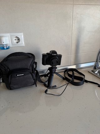 Panasonic Lumix G100 + Grip