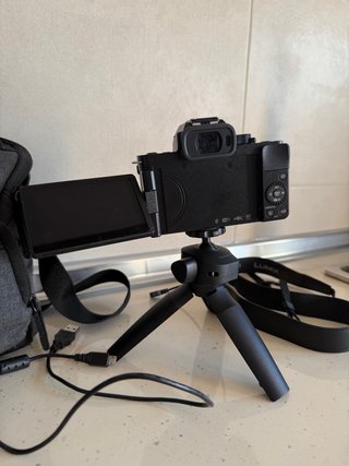Panasonic Lumix G100 + Grip