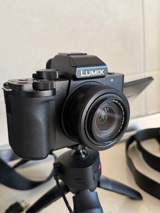 Panasonic Lumix G100 + Grip