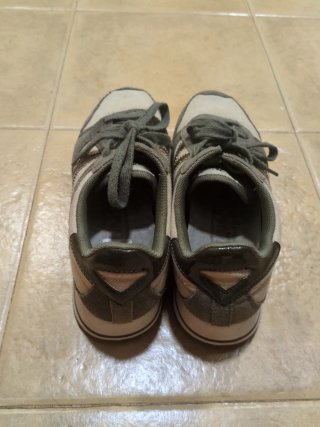 Zapatillas Munich Beige y Verde Oliva