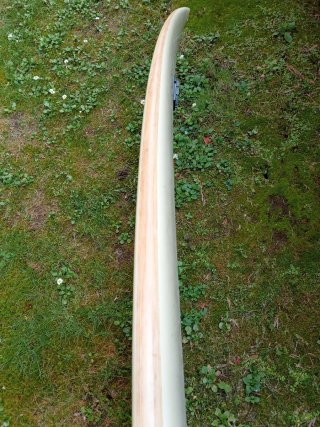 Tabla Surf Firewire Tomo