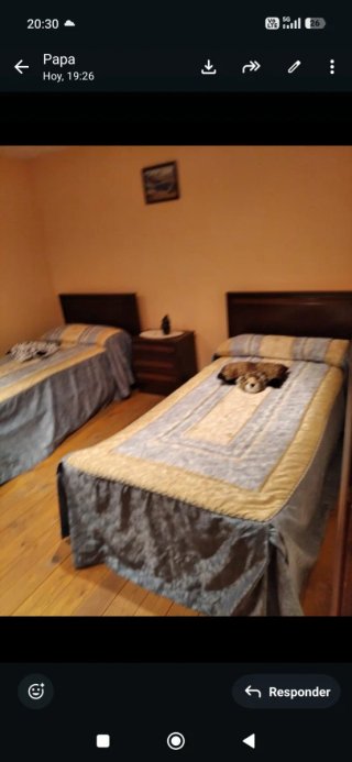 Alquiler de casa