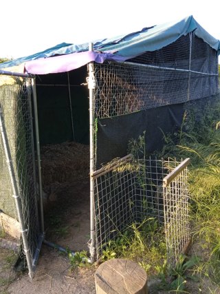 Gallinero / Gatero exterior