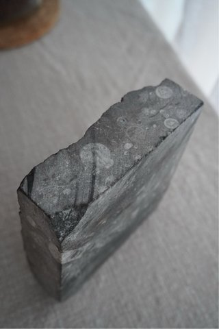 Ciotola Fossile in Pietra Nera e Grigia