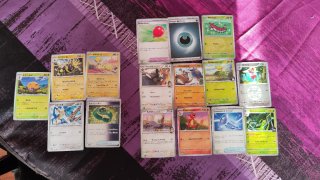 Lote de cartas Pokémon