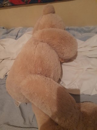 Oso de peluche rosa