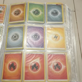 Álbum Pokémon con más de 300 cartas