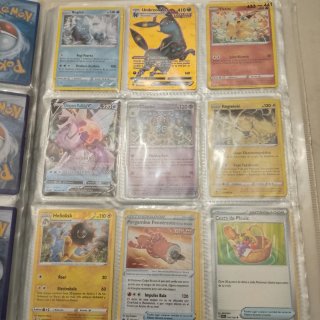 Álbum Pokémon con más de 300 cartas