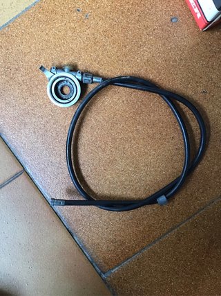 Reenvío derbi variant