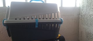 Trasportino per animali domestici blu/grigio