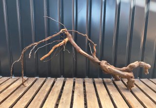 Raíz/tronco Decoración Acuario OFEERTA SOLO HOY!