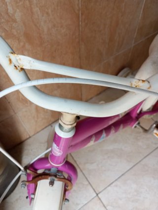 Bicicleta infantil rosa princesas