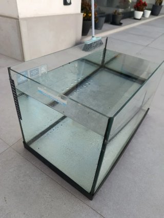 Pecera de cristal con marco negro