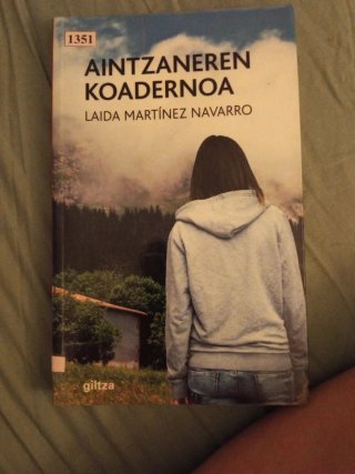 Aintzaneren koadernoa - Laida Martínez Navarro