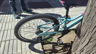 Bicicleta 24 Wolfbike