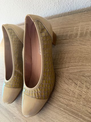Zapatos Pitillos Beige y Dorado