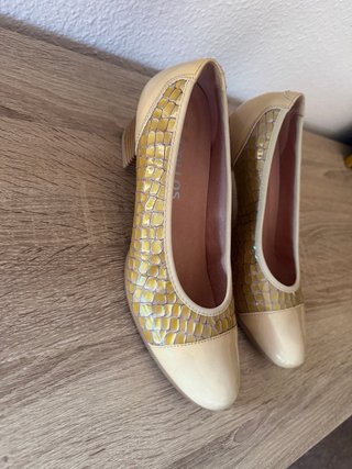 Zapatos Pitillos Beige y Dorado
