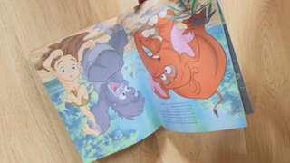 Libro Tarzan