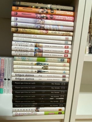 Mangas Yaoi/BL