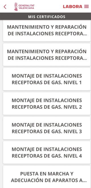 Calentador Vaillant 12L Tiro Forzado,cámara estanc