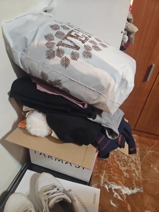 Ropa Variada Talla Única