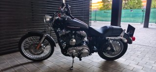 Harley Davidson XL1200C 2004