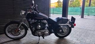 Harley Davidson XL1200C 2004