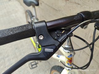 Bicicleta Macario Rainbow Vintage