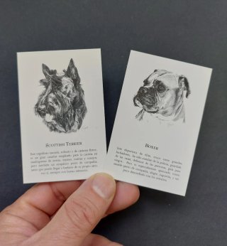 Colección NUEVA calendarios antiguos. Perros