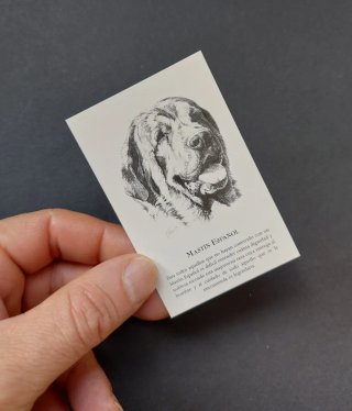 Colección NUEVA calendarios antiguos. Perros