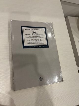 Teoría del derecho una concepción de la experie...