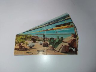 Cromos Animales en su Ambiente