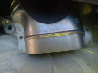 Colas de escape AMG